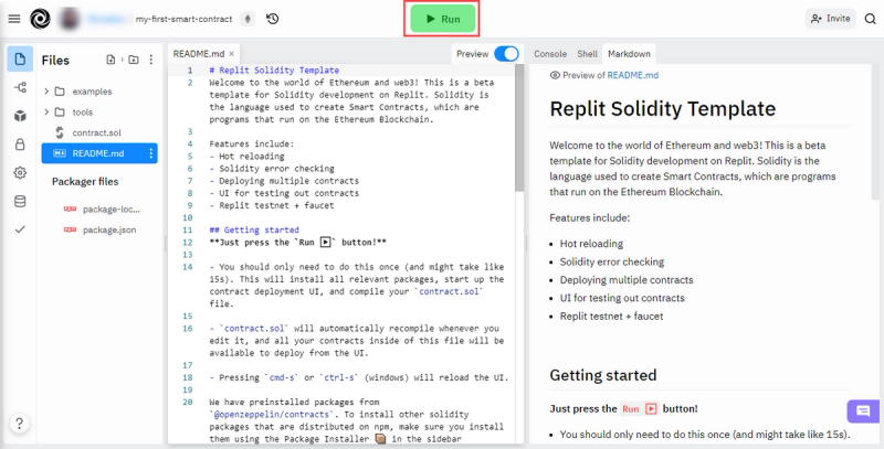 Repl interface before run